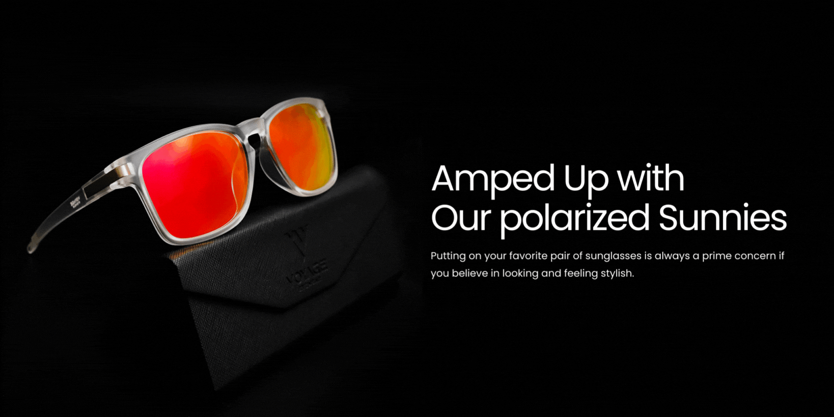 Polarised Sunglasses