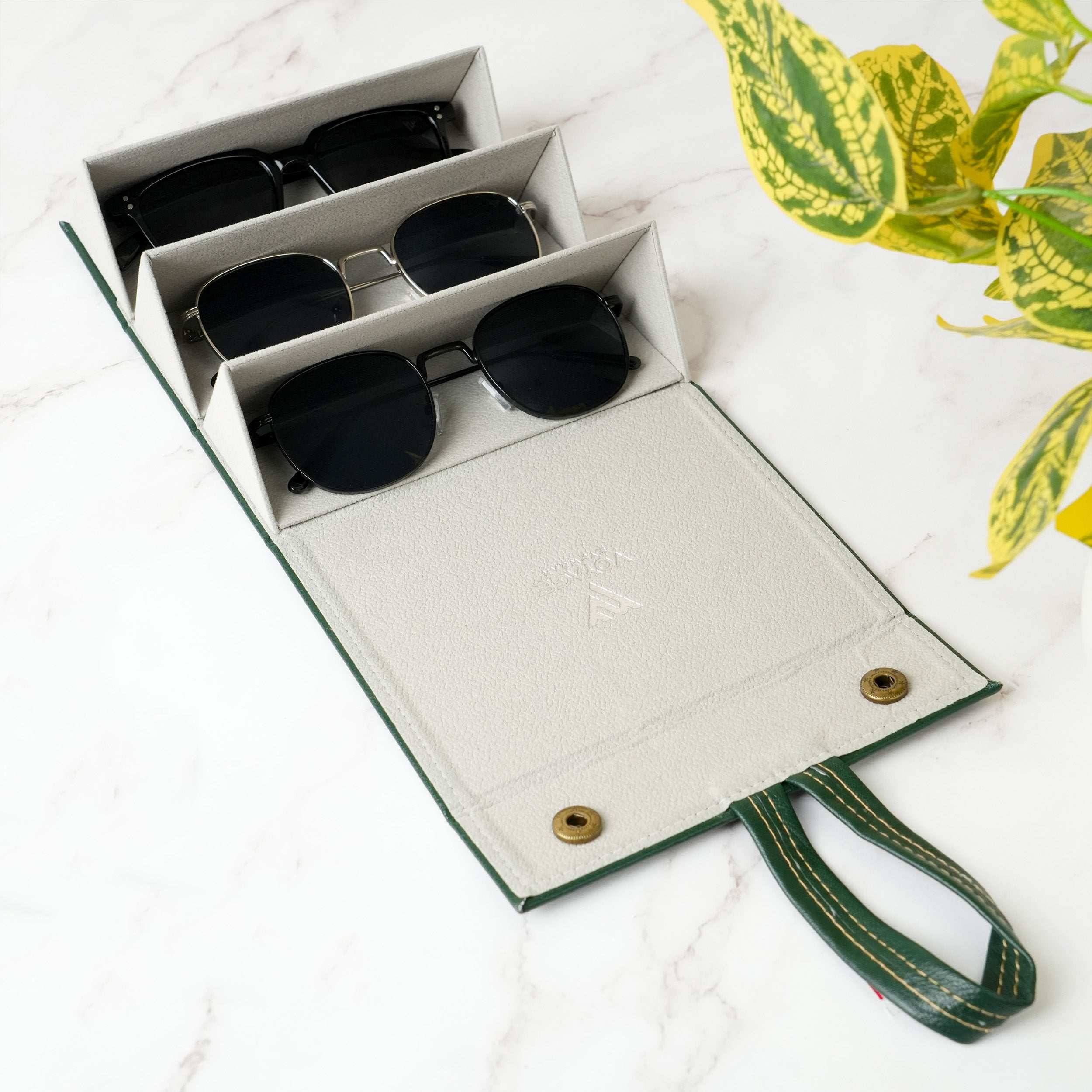 Voyage Green Sunglasses or Eyeglasses 3 Compartment Storage Box