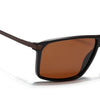 Wayfarer Brown Polarized Sunglasses - PMG4446