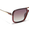 Voyage Select Wayfarer Sunglasses (Brown & Clear Lens | Brown Frame - SLPMG6300)
