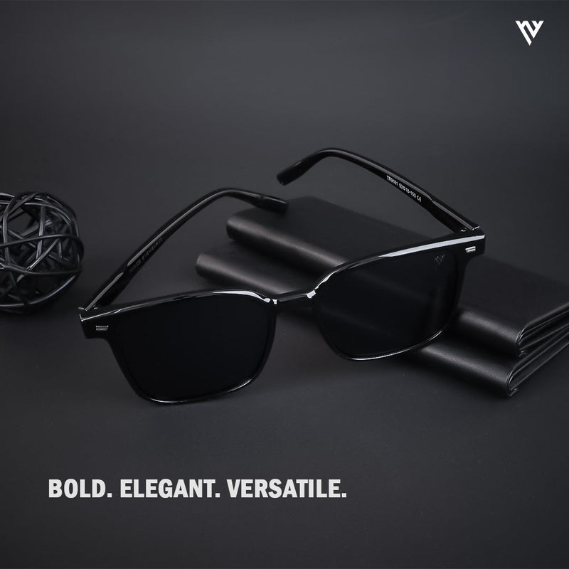 Polarized Black Wayfarer Sunglasses - PMG3722