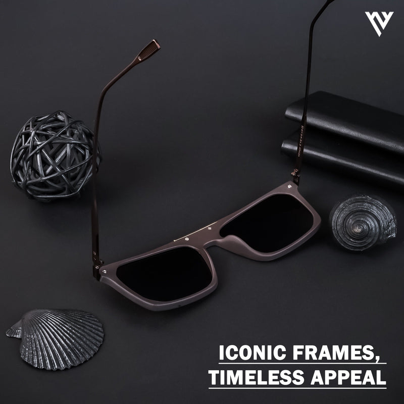 Wayfarer Brown Polarized Sunglasses - PMG4449