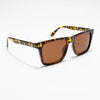 Wayfarer Brown Sunglasses (A12MG3955)