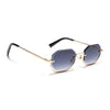 Facet | Grey & Clear Hexagonal Sunglasses | Golden Frame - MG7511