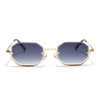 Facet | Grey & Clear Hexagonal Sunglasses | Golden Frame - MG7511