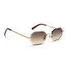 Facet | Brown & Clear Hexagonal Sunglasses | Golden Frame - MG7512