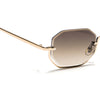 Facet | Brown & Clear Hexagonal Sunglasses | Golden Frame - MG7512