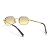 Facet | Light Brown & Clear Hexagonal Sunglasses | Golden Frame - MG7513