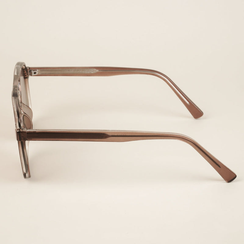 Wayfarer Brown Sunglasses (86635MG4151)