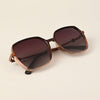 Oversize Brown Polarized Sunglasses - PMG4343