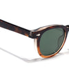 Evian | Dark Brown Wayfarer Sunglasses | MG8158