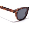 Evian | Demi Brown Wayfarer Sunglasses | MG8159