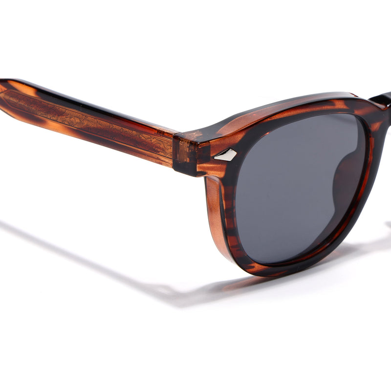 Evian | Demi Brown Wayfarer Sunglasses | MG8159