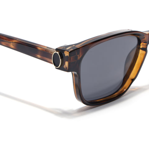 Hector | Demi Brown Wayfarer Sunglasses | Black Lens - MG8716