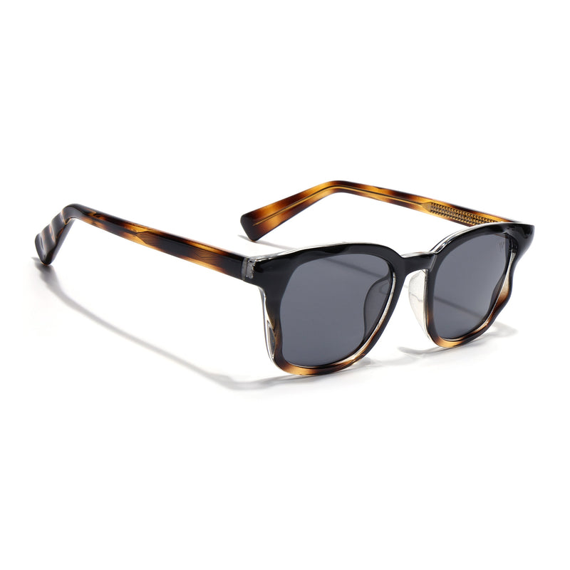Theon | Demi Brown Wayfarer Sunglasses | MG8163