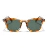Theon | Orange Wayfarer Sunglasses | MG8164