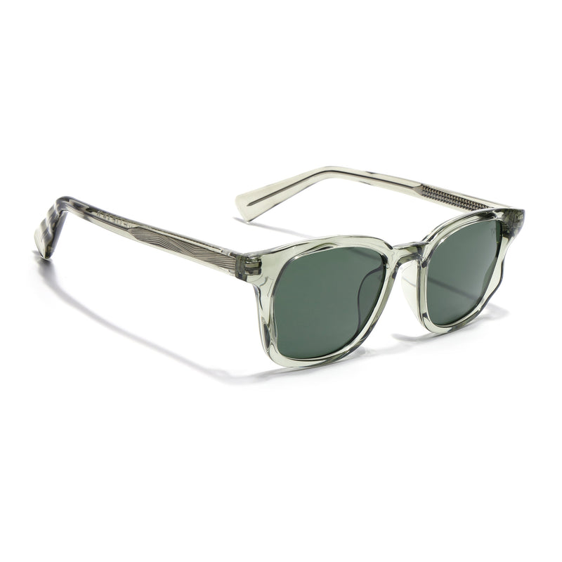 Theon | Green Wayfarer Sunglasses | MG8166