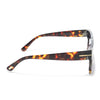 Black & Brown Wayfarer Sunglasses - MG3934