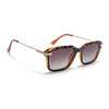Demi Brown Wayfarer Polarized Sunglasses | Brown Lens - PMG7899