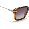 Demi Brown Wayfarer Polarized Sunglasses | Brown Lens - PMG7899
