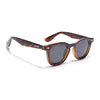 Wayfarer Polarized Sunglasses for Men & Women (Black Lens | Demi Brown Frame - PMG7986)