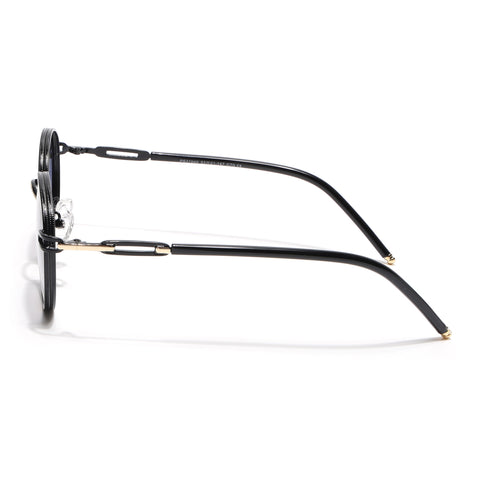 Round Polarized Sunglasses (Grey Lens | Shine Black Frame - SLPMG9102)