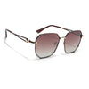 Oversize Sunglasses (Brown Lens | Brown & Golden Frame - SLMG9113)