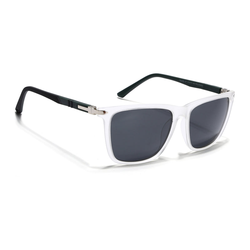 Transparent Polarized Wayfarer Sunglasses - PMG4491