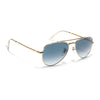 Malana | Grey & Clear Aviator Sunglasses | Golden Frame - MG7623