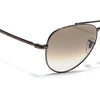 Malana | Brown & Clear Aviator Sunglasses | Brown Frame - MG7624