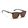 Wayfarer Polarized Sunglasses (Brown Lens | Brown Frame - PMG5059)